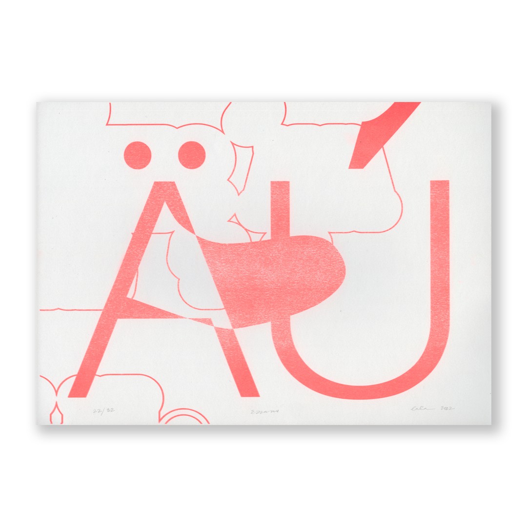 ZZZ ans - Riso A3