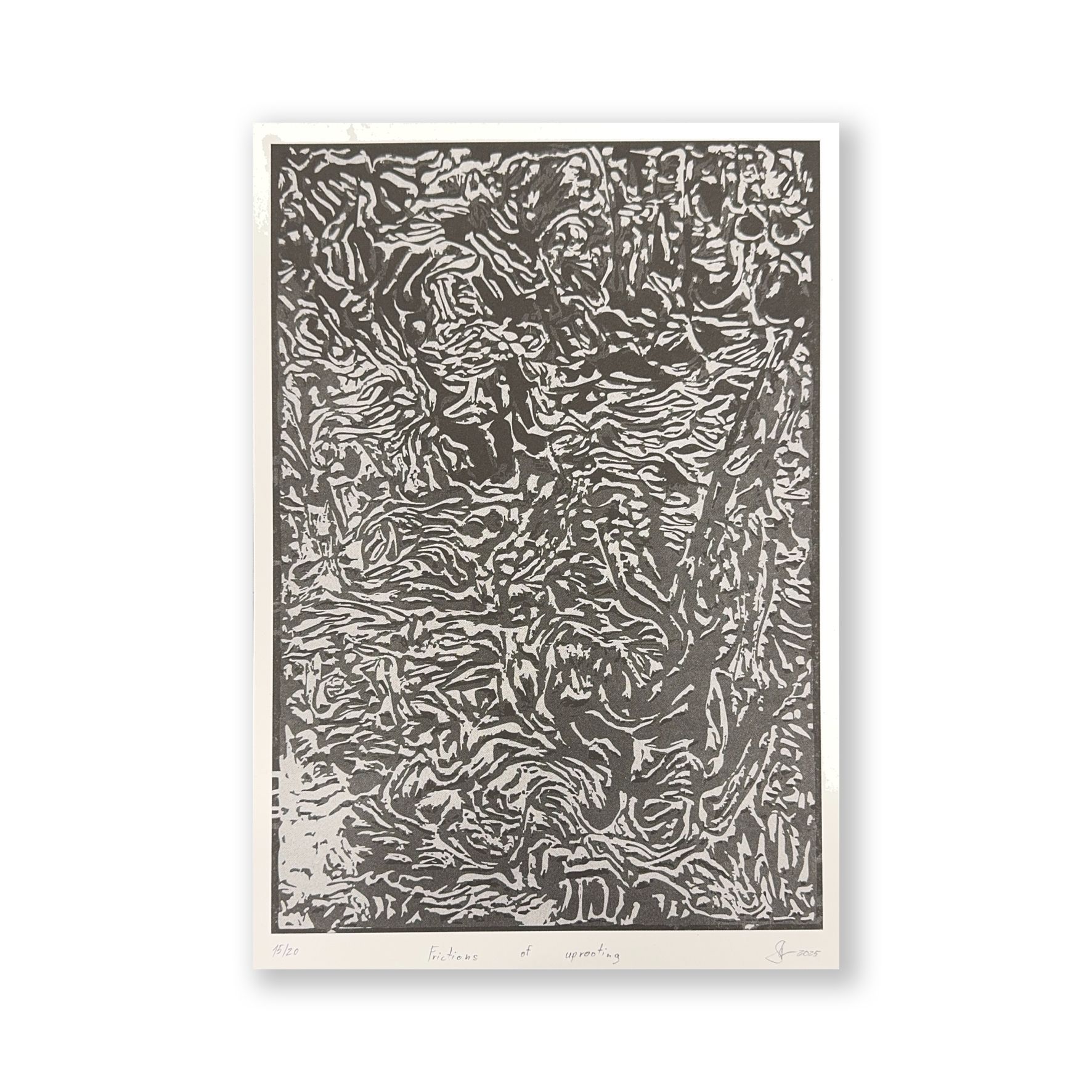 Frictions of uprooting - White