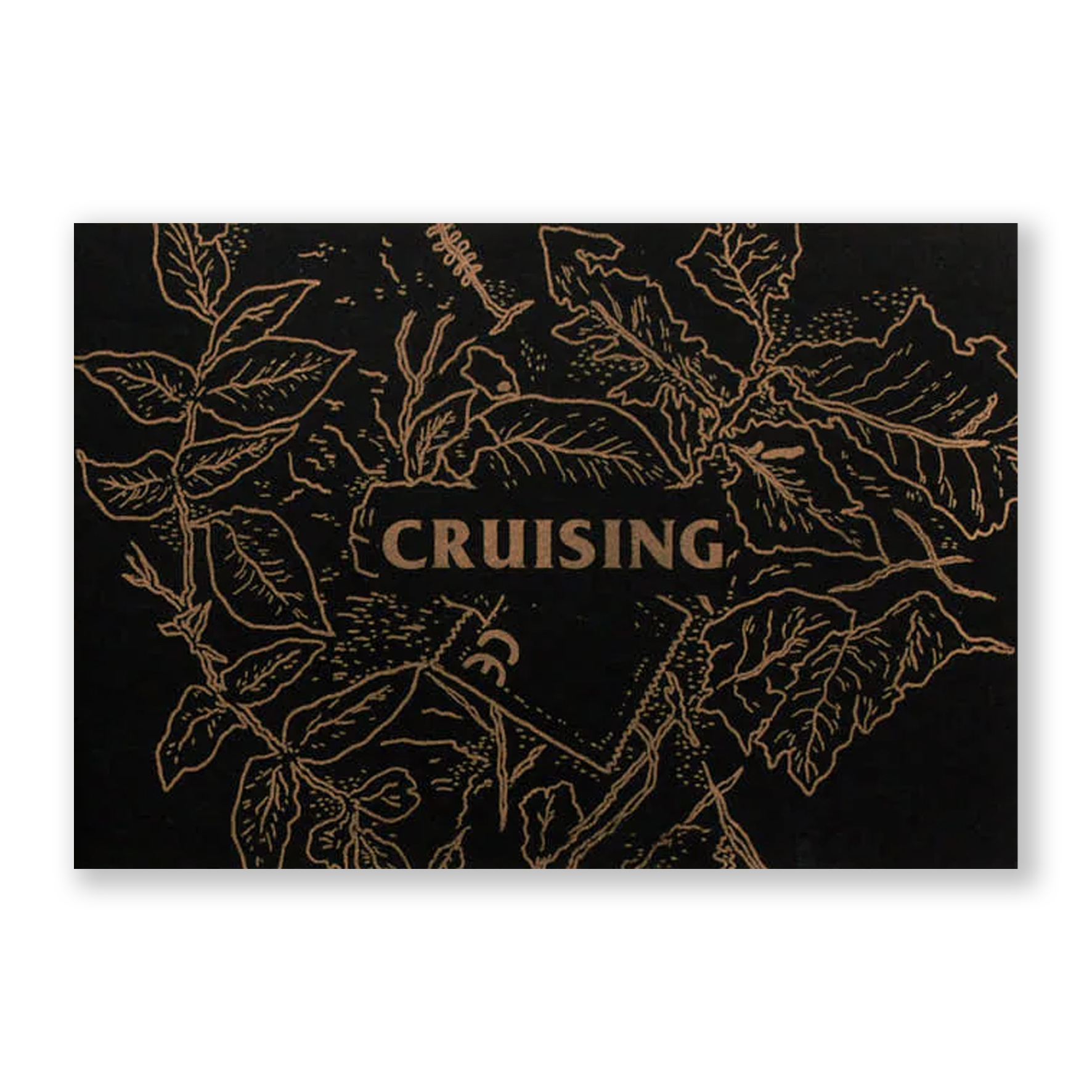 Cruising